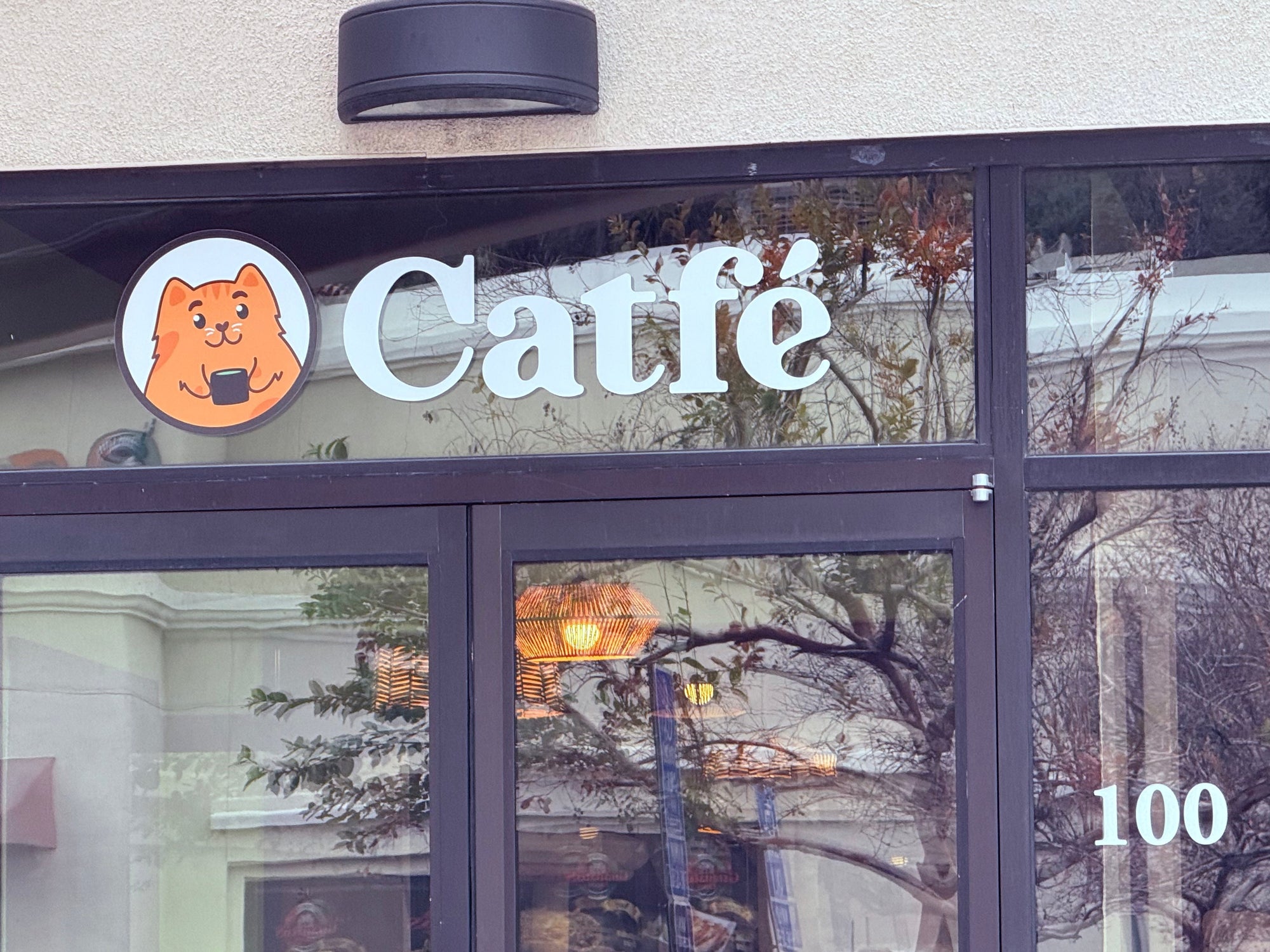 Meep Meep team infront of the Santa Clarita's Cat Cafe & lounge Catfé